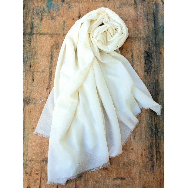 Faliero Sarti vilnos skara 